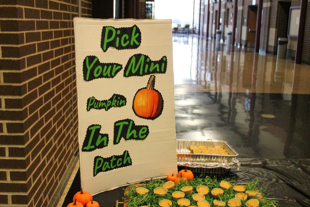 A pumpkin-decorated presentation