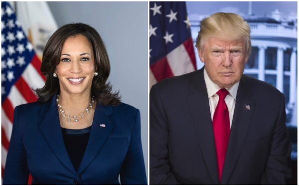 Vice President Kamala Harris and former United States President Donald Trump are at the top of the nation's ballot for the next term as president.