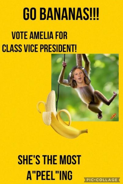 Junior and senior Titans were much more involved with class officer elections this year. Flyers, like the one of junior Amelia Wolsiefer made, were all throughout the school building leading up to election days.