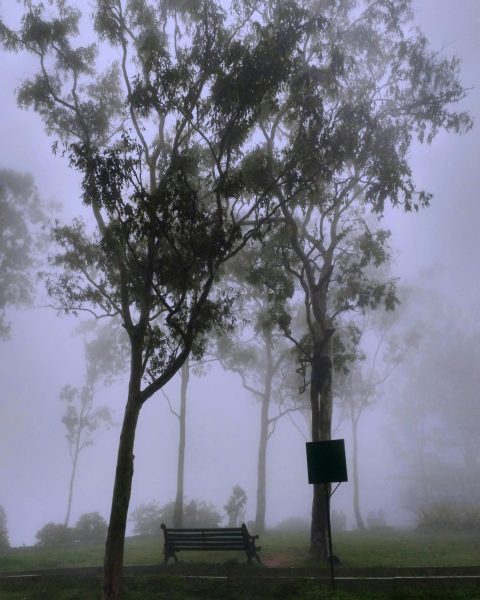 Diving through the mist