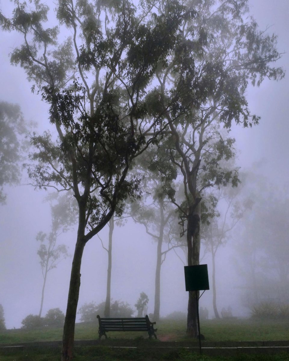Diving through the mist
